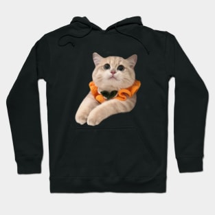 Munchkin cat with scarf Hoodie